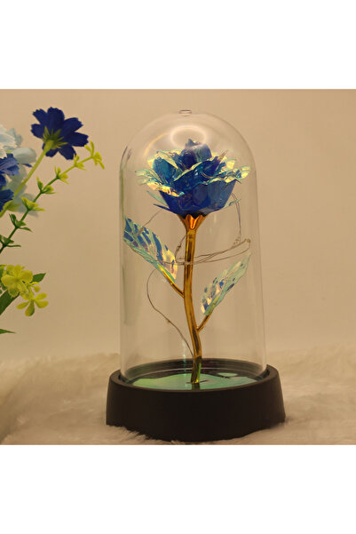 Choice3 Colorful Blue Eternal Flower Gift Rose Christmas Gift Qixi Valentine'...