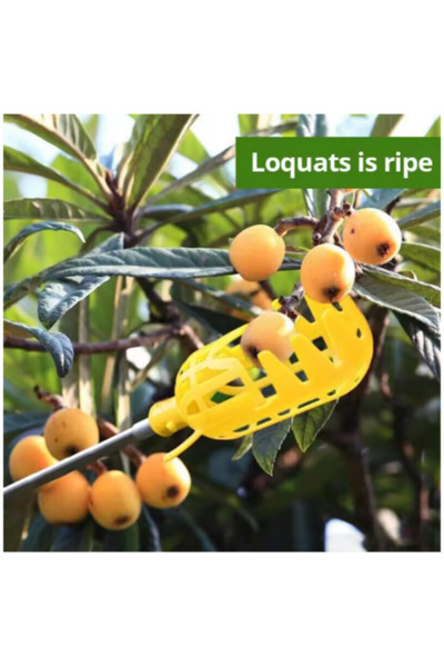 Choice M zgq-1pcs Farm Garden king DeviceGarden Tools Deep Basket Fruit ker H...