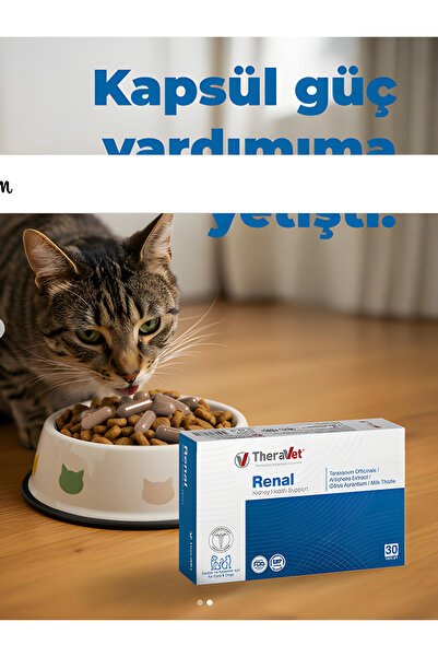 Theravet RENAL