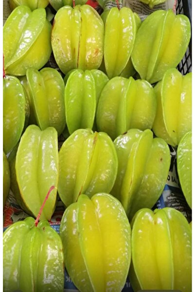 Alanyatropikal Yıldız Meyvesi 1 Adet Yerli Üretim Carambola - Star Fruit