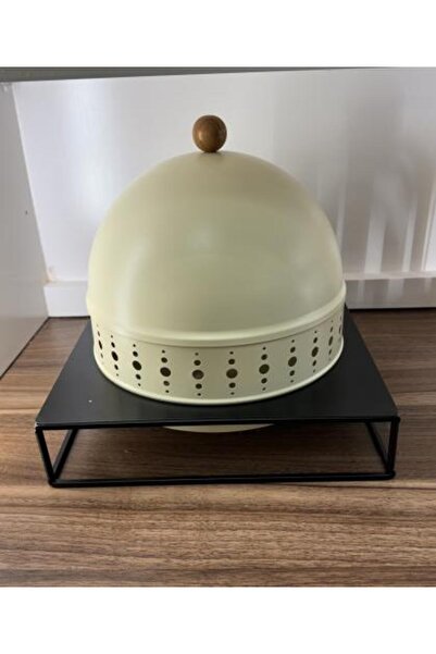 plate Iron with Beige Cover