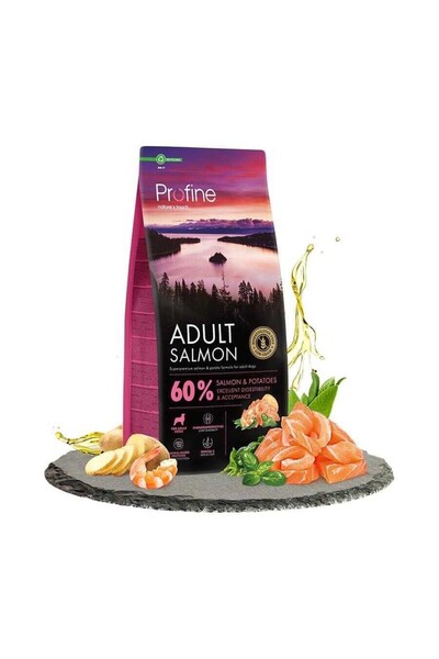 Profine Somonlu 12 kg Yetişkin Köpek Maması