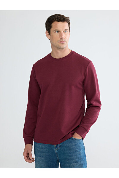 LC Waikiki Peak New Season Crew Neck Long Sleeve Men's T-Shirt