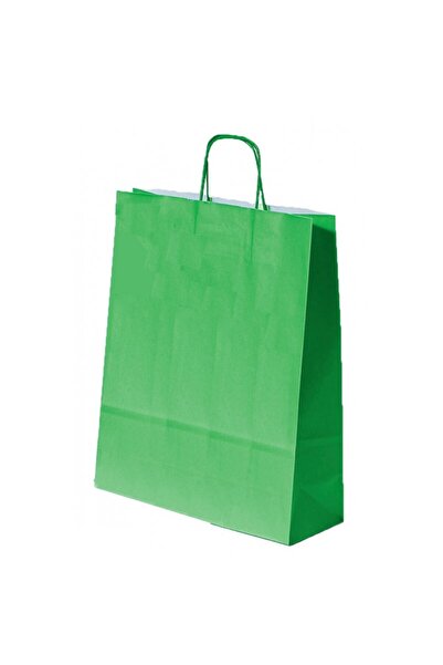 Colorarte Punga cadou 04623 / 00567, A3, 32x41x12cm, 100g/mp, verde, manere d...