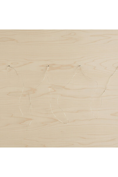 Home Box Orla 3AA Copper Wire 50 LED Warm White String Light - 250 cm