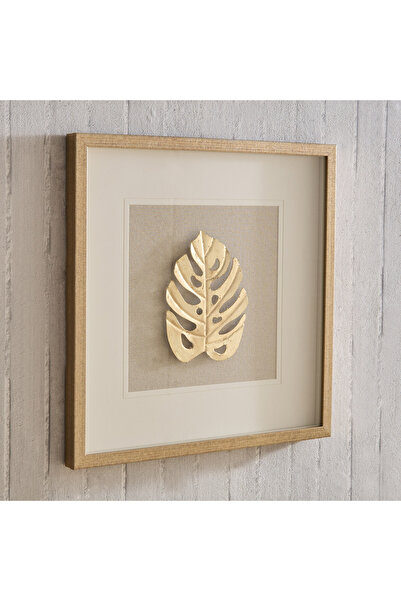 Generic صندوق عرض أوراق أوليفيا مع إطار - 50 × 50 سم