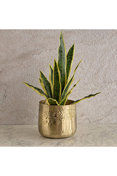 Generic أصيص زرع ألومنيوم ذو ملمس بارز من ميلروز ليت - 21x21x18 سم