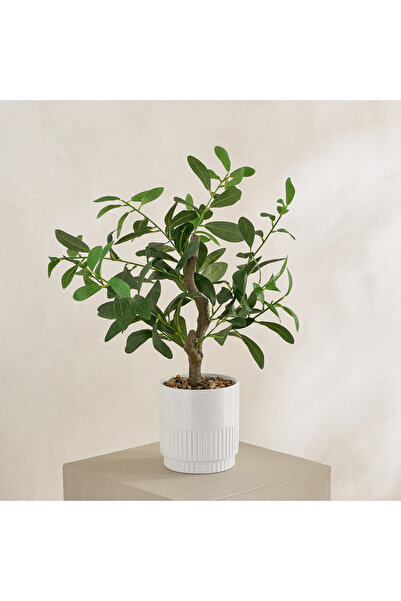 Generic شجرة زيتون اصطناعية دائمة الخضرة مزروعة في أصيص سيراميك - 60 سم