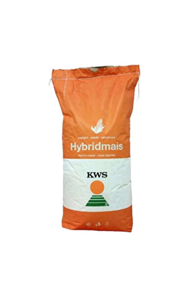 KWS Semințe de porumb Kashmir 50.000 de boabe