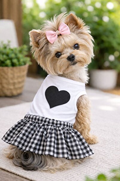 DOGİ&DOG Küçük Irk Black Pitikare Köpek Elbisesi Köpek Kıyafeti (1-10KG)