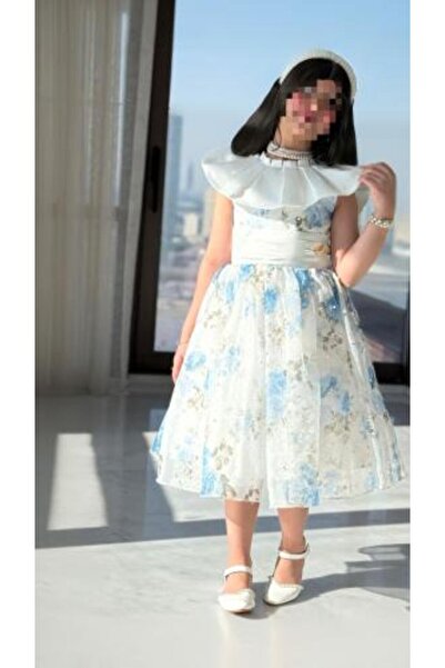 arushi Hadeel Organza Dress with Loul Accessories