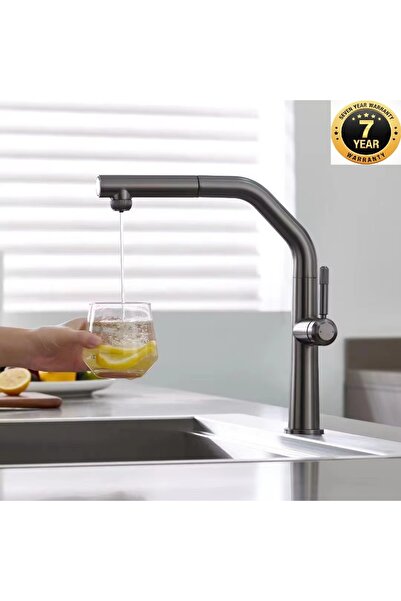 OEM صنبور مطبخ بخاصية تنقية المياه المتحركة، 2 وظيفة، صنبور حلزوني، ضمان 7 سن...