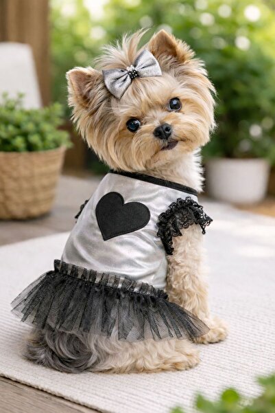 DOGİ&DOG Küçük Irk Silver Heart Köpek Kıyafeti Köpek Elbisesi (1-10KG)