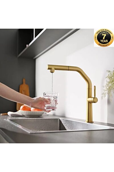 OEM Kitchen Sink Faucet with Water Purification Outlet, 2-Function Sprinkler,...