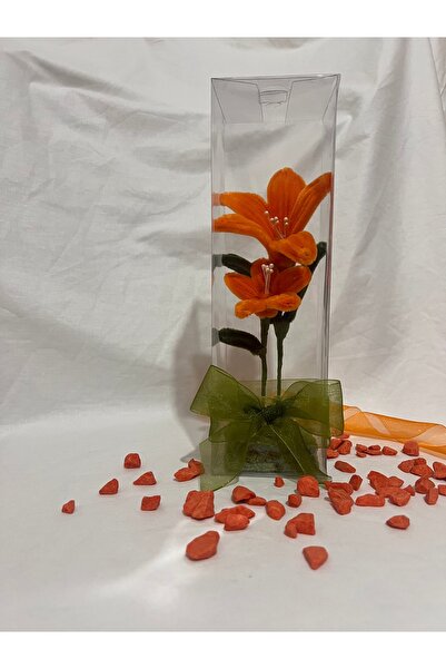 Velura Flowers - El Yapımı Şönil Tel Çiçek | Şeffaf Kutulu Solmayan Hediye