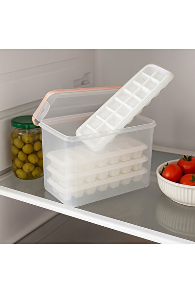 Generic Ice Storage Box with Multi-Layer Silicone Molds