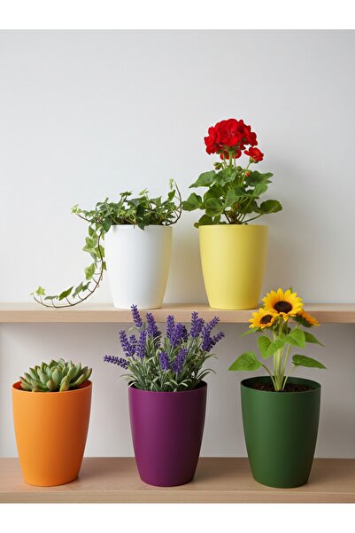 AVZEMA HOME Saksı Seti 5’li Modern Dekoratif İç Mekan Saksısı Salon Ofis Penc...