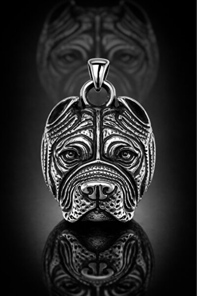 voyageaccessory Special Steel Masculine Design for Dog Lovers Men's Necklace ...