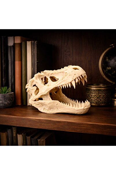 T-Rex Dinozor Kafatası / Dekoratif Fosil /