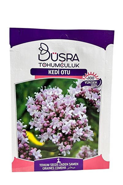 Büşra Tohum Kedi Otu Çiçek Tohumu 40 Adet