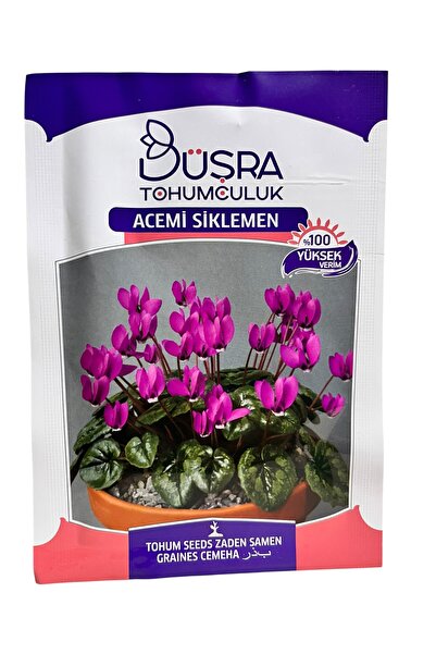 Acemi Sikleman Çiçeği Tohumu 15 Adet