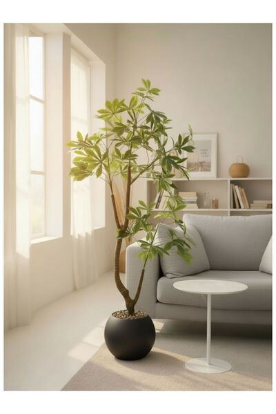 Casco Artificial Schefflera tree, 165 cm tall, with an elegant round pot