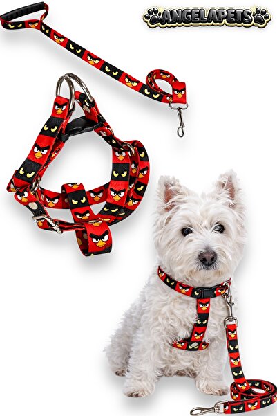Angelapets Dog Chest Collar and Leash Set