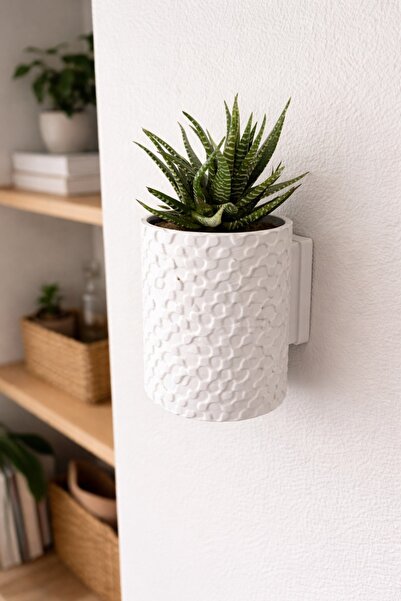 İFAA Duvara Monte Saksı – Modern Duvar Saksılığı, Dekoratif Duvar Çiçekliği