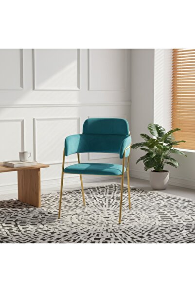 GLAMOURE HOME Upholstered living room chair in Velvet fabric, suitable for be...