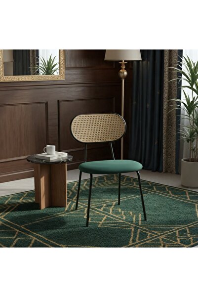 GLAMOURE HOME Compact chair in a green color with a wooden back, suitable for...