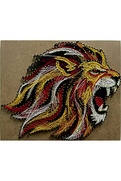 Tiydem مجموعة فنون الفيلوغرافيا للمستوى المتقدم - ASLAN