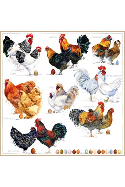 Ti Flair POULETS DESENLİ KAĞIT PEÇETE