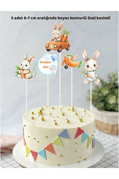 Sinek Kupası Tasarım İlk Dişim Çıktı Tavşan Diş Buğdayı Erkek Doğum Günü Pata...