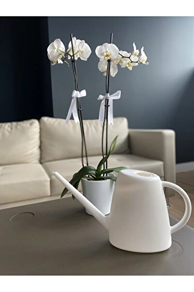 polivahome Garden Watering Can Flower Watering Can Watering Canister Watering...