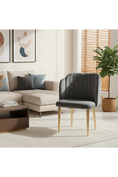 GLAMOURE HOME Upholstered living room chair in Velvet fabric, suitable for be...