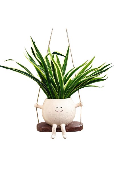 Amazon Ghiveci perete Kingovalley rășină cap rotativ suspendat decorativ inte...