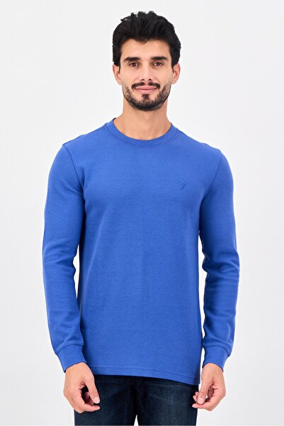 AMERICAN EAGLE Men Crew Neck Embroidered Logo Long Sleeve Sweatshirt, Blue