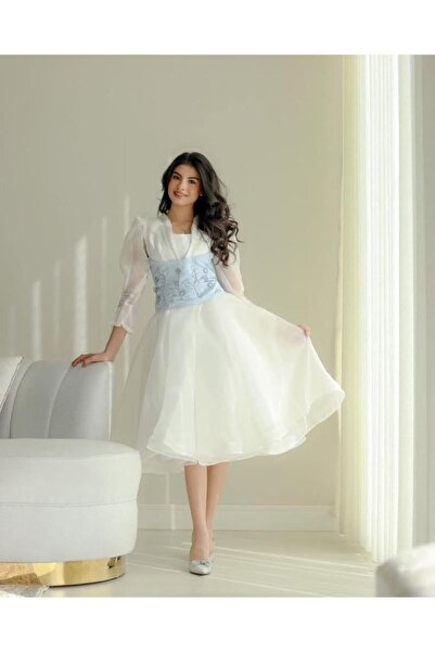 Rahibhdresses Soft organza midi dress with hand embroidery and sky blue corset