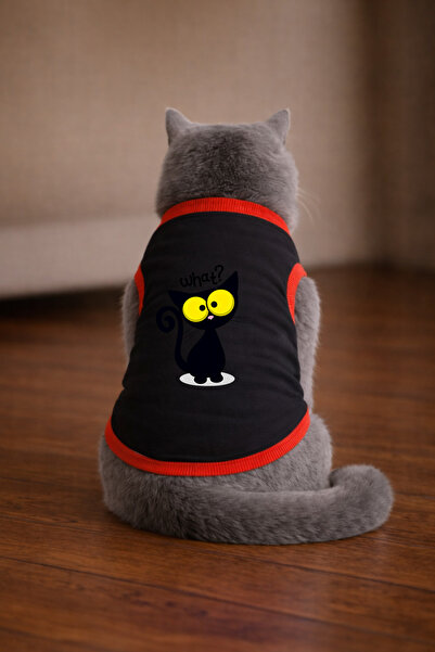 petite pati تيشيرت أسود مطبوع عليه قطط من ماركة What Cat مقاس L (100% قطن ممشط)