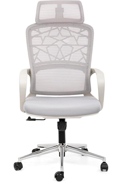 Afifa Furniture Grey Office Chair – Ergonomic Chair with Lumbar Support & Adj...