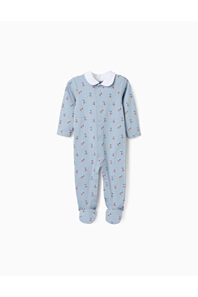 Ziddy ديس بي بي جرو إنترناشونال، أزرق فاتح، 1/3 متر