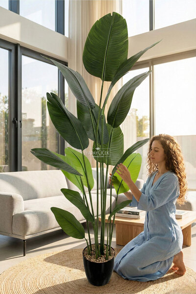 Yapay Çiçek Deposu Siyah Saksıda Yapay 15 Yapraklı Alba Starliçe Ağacı 190 cm