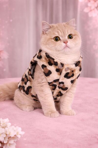 STEELVA سترة من الصوف بنقشة الفهد للقطط والكلاب، ملابس للحيوانات الأليفة