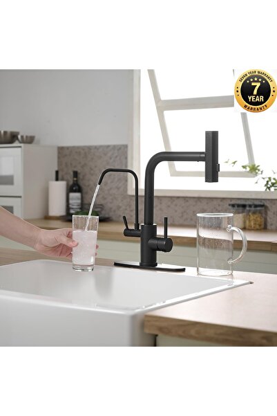 OEM Kitchen Sink Faucet with Dual Flow Water Purification Outlet, Spiral and ...