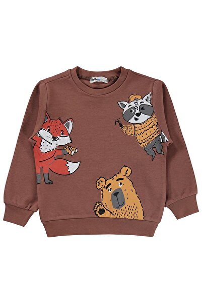 Civil Boys Tili Raccoon Bear Printed Sweatshirt for Ages 2-5 - Brown 3-4 Years