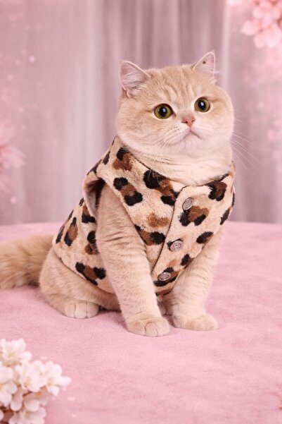 STEELVA سترة عسكرية مبطنة بنقشة الفهد للقطط والكلاب، ملابس للحيوانات الأليفة