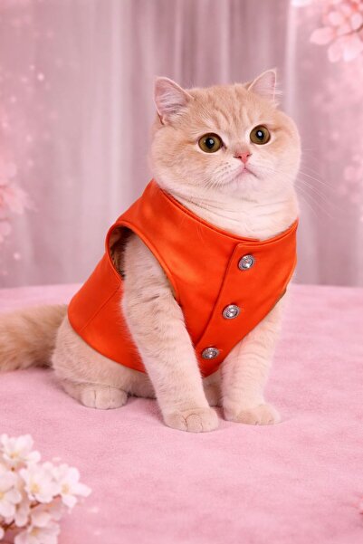 STEELVA سترة للقطط والكلاب من الصوف القطبي ذات مظهر برتقالي لامع، ملابس للحيو...