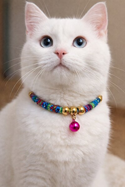 PHENORA طوق قطط أنيق بتصميم خرز ملون مع خرزات ملونة - قلادة