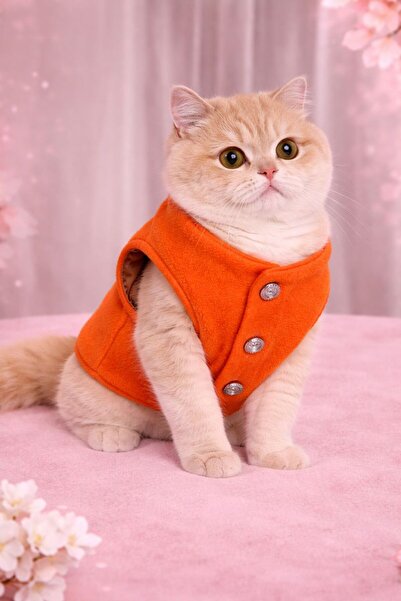 STEELVA سترة برتقالية من الصوف القطيفي للقطط والكلاب، ملابس للحيوانات الأليفة