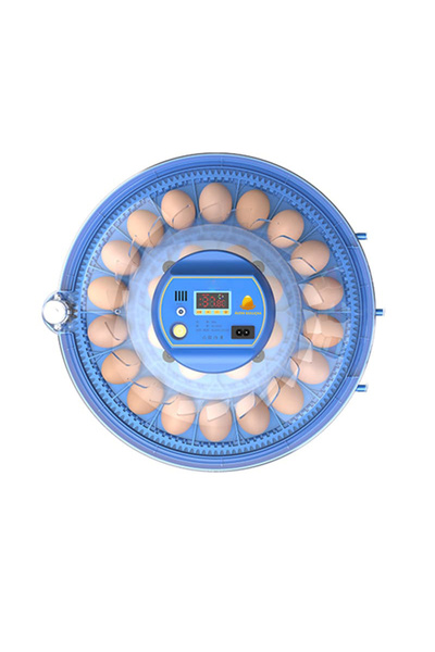 Altın Kuluçka 24 Yumurtalık Çift Güçlü Ekonomik Kuluçka Makinesi